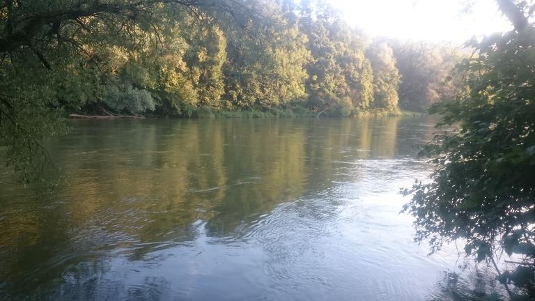 Donau unterhalb Böfinger Halde.JPG