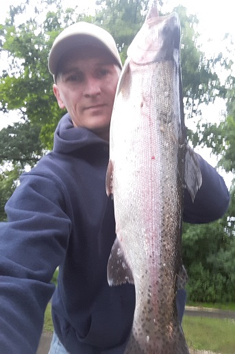 56cm Regenbogenforelle.jpg