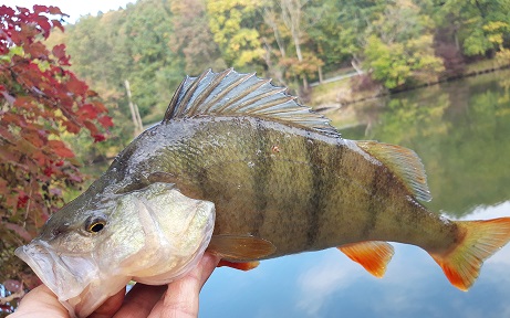 7.10.2018.jpg
