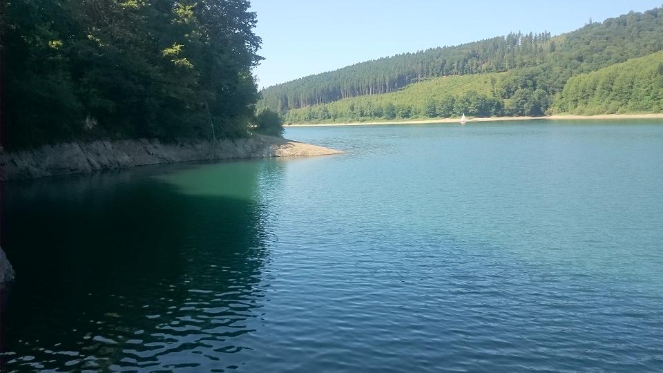 Hennesee2.JPG