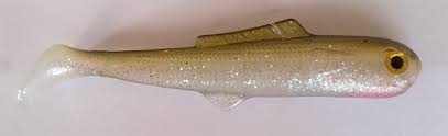 westline shad tail schleie.jpg